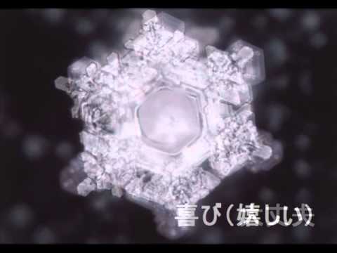 水からの伝言